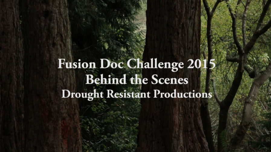 Behind the Scenes Fusion Doc Challenge 2015