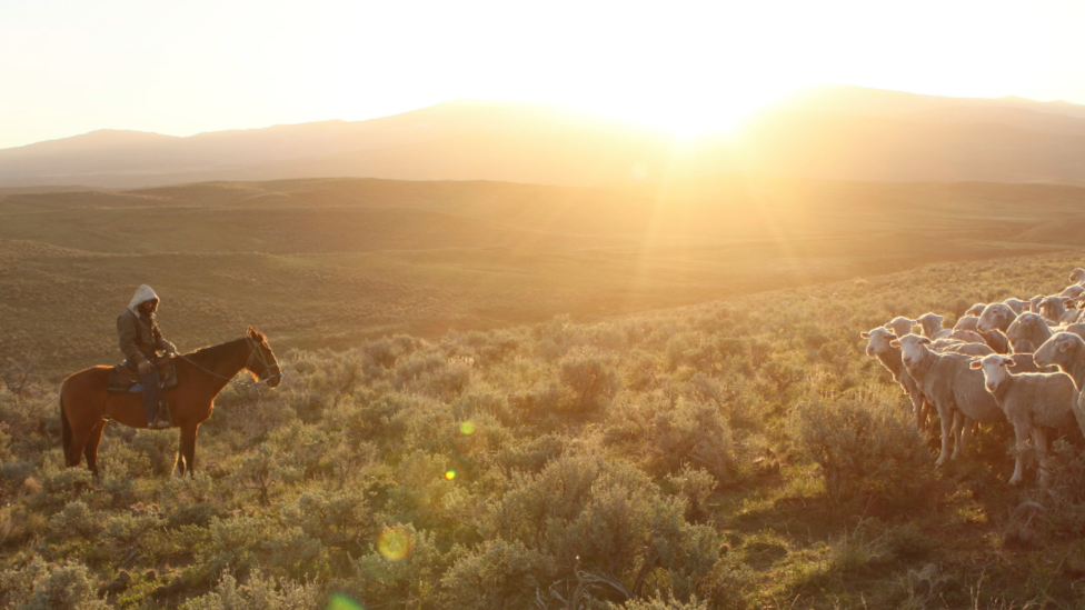 Sage Country 