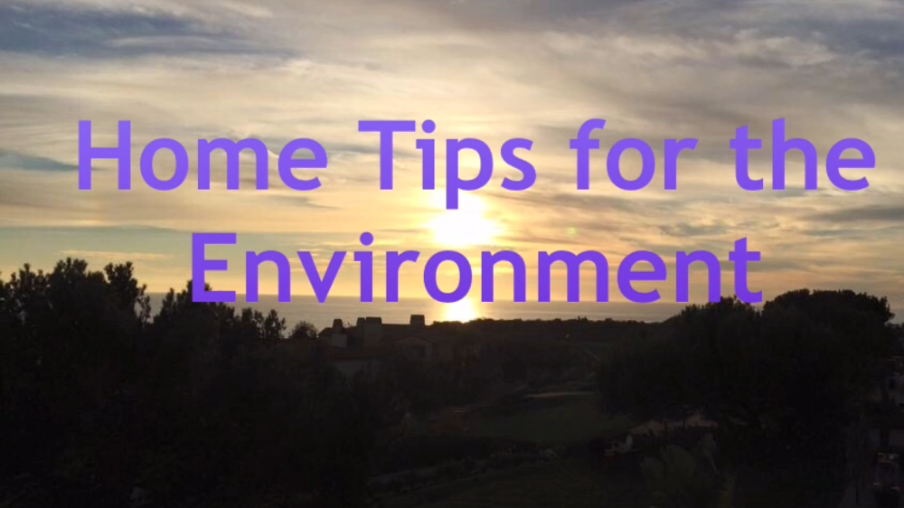 Home Tips for the Environment