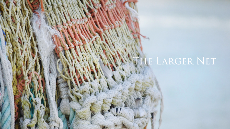 The Larger Net