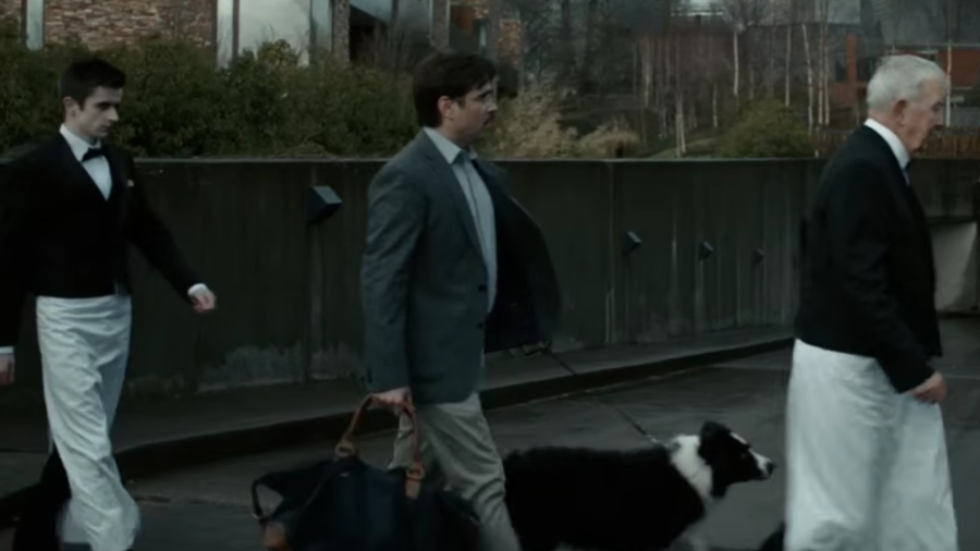 The Lobster Official Trailer