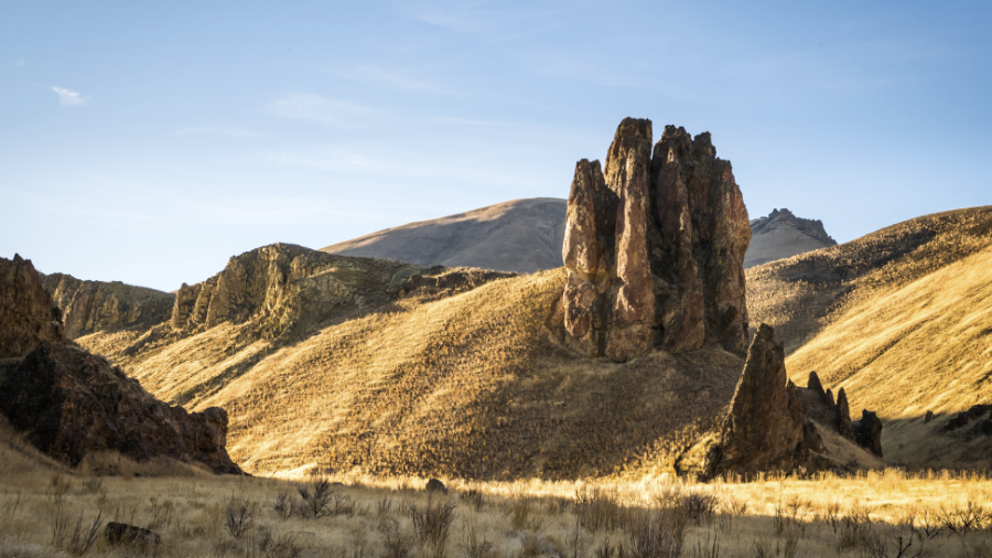 WILD_OWYHEE