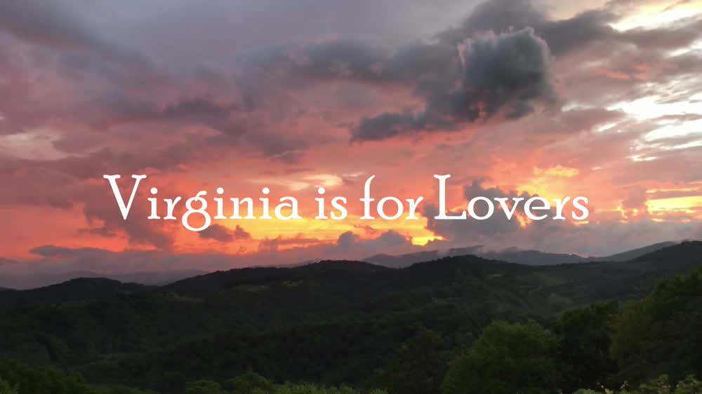 Virginia is for Lovers