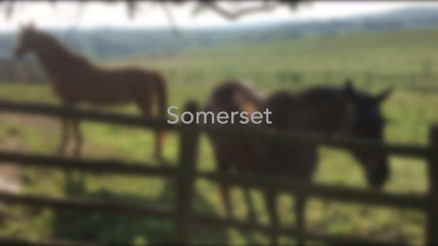 Somerset