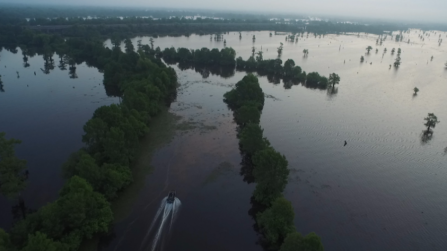 Up Above Louisiana