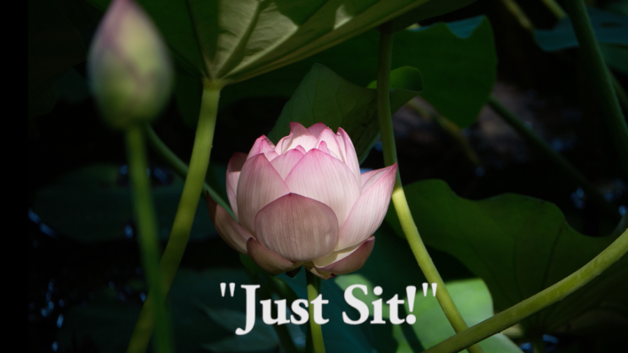 Just Sit