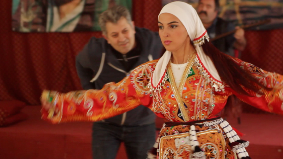 Heavenly Journeys. Insights into Alevi Ritual Dance. Marcel Klapp 2015.