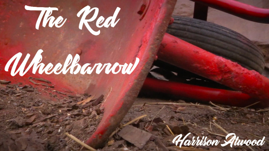 The Red Wheelbarrow