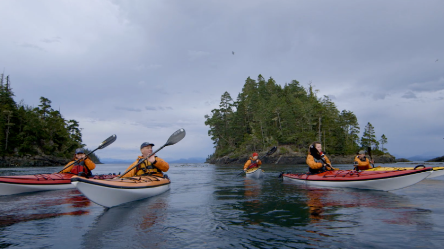 Becoming a Whale Heritage Site