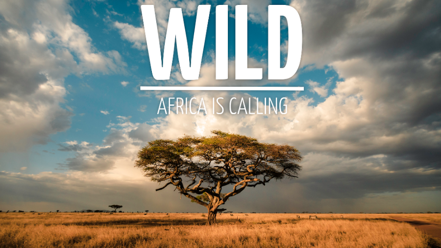 WILD Africa is calling