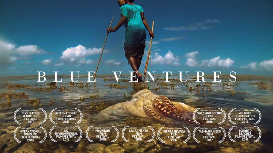 Blue Ventures