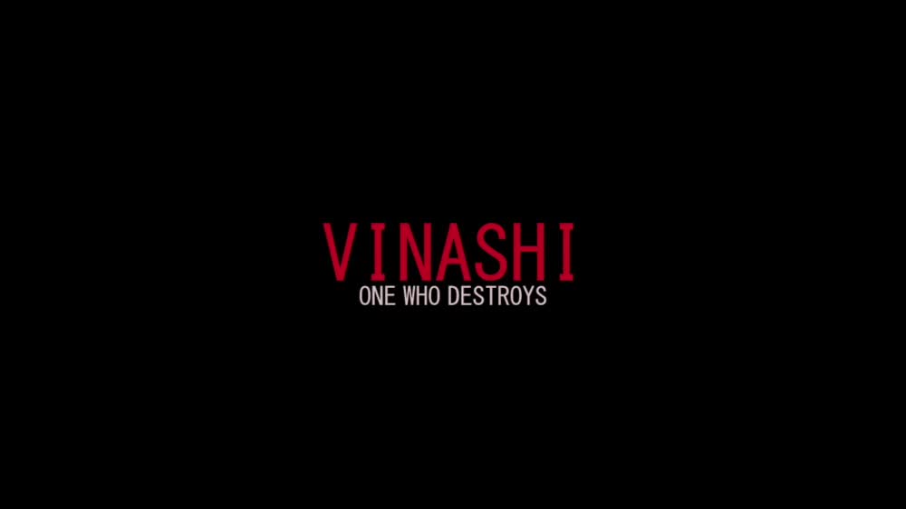 Vinashi