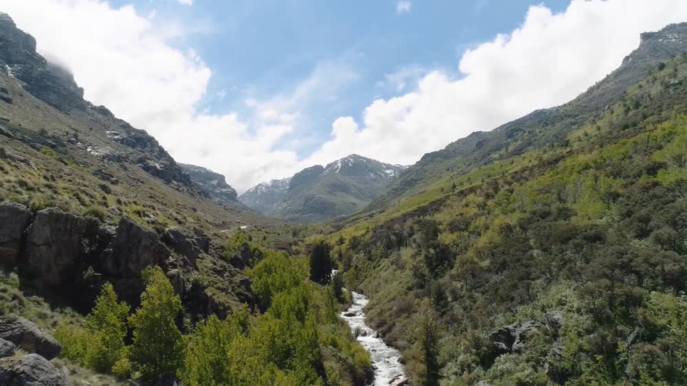 Ruby Mountains