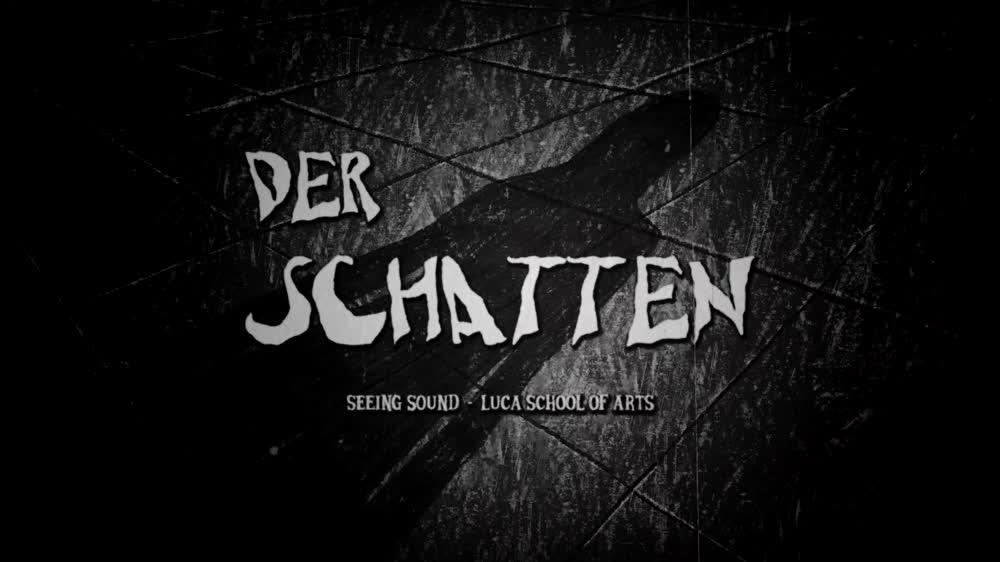 Jelle Vansieleghem & Senne Driesen - Der Schatten