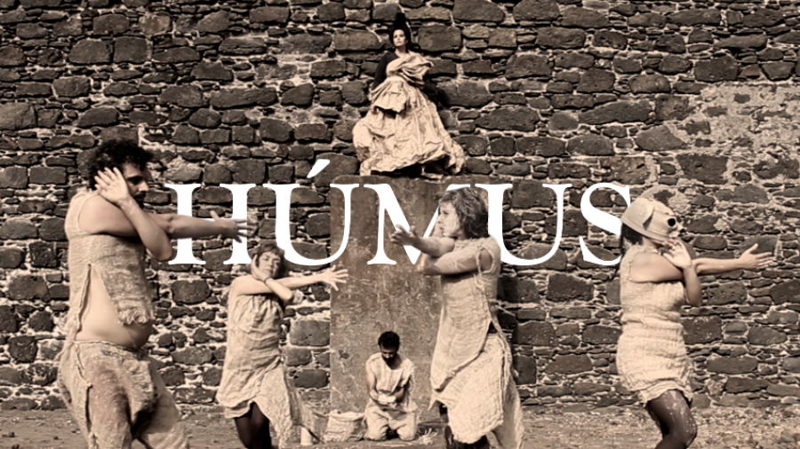 Húmus