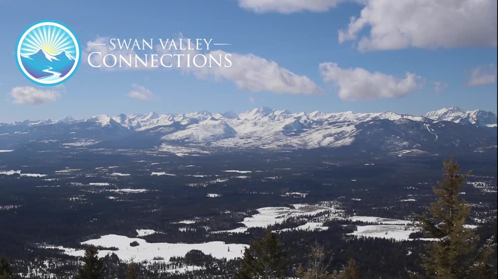 Swan Valley Connections