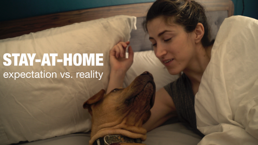 Stay-At-Home Expectation vs. Reality