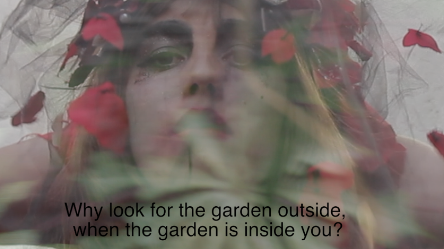 EL SUEÑO DE ALEXANDRA- IN THE GARDEN BEYOND LANGUAGE