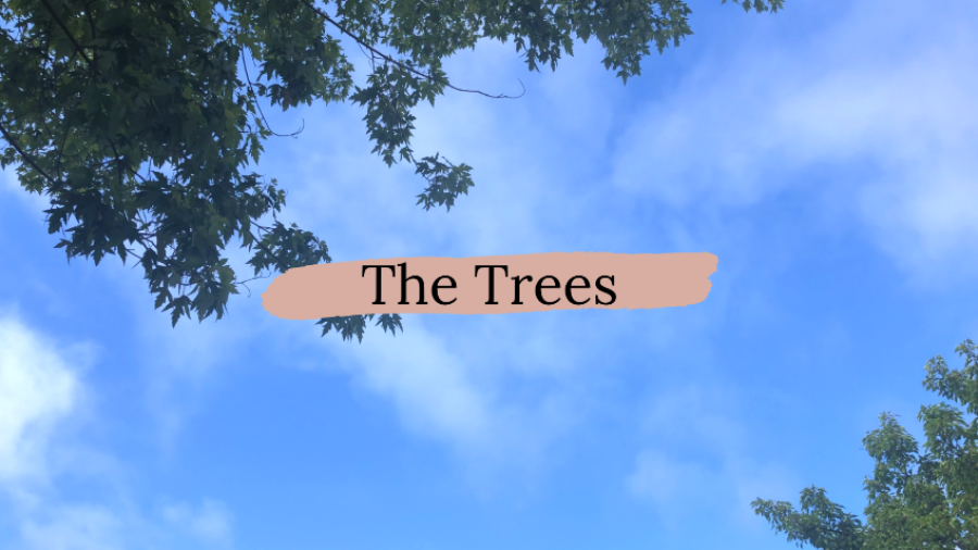 The Trees