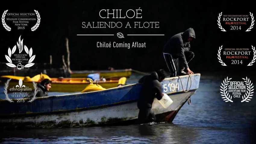 Chiloe Coming Afloat