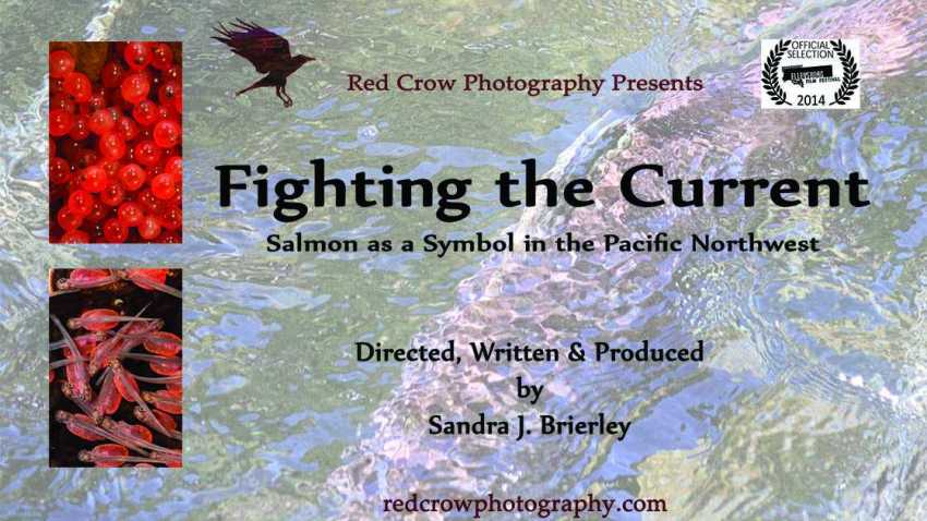 Fighting the Current: Salmon as a Symbol in the Pacific Northwest